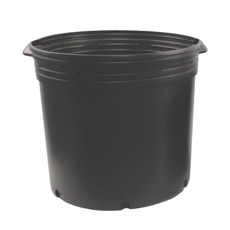 10 Gallon Nursery  Pot