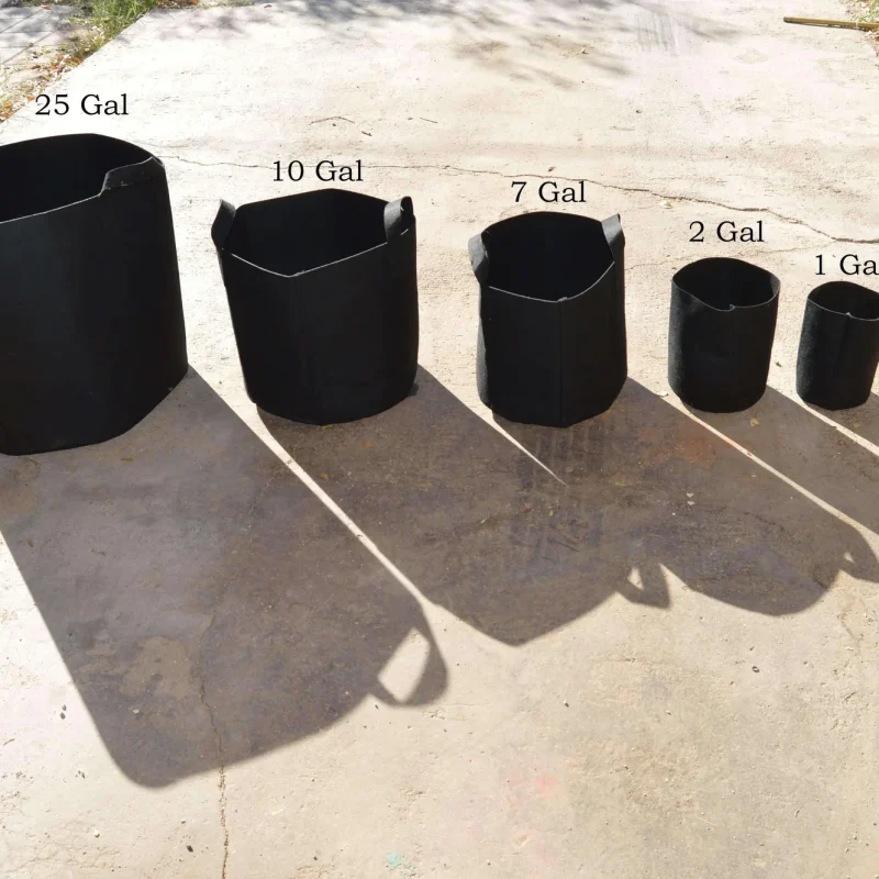Grow container  1 Gal Black Grow  Bag