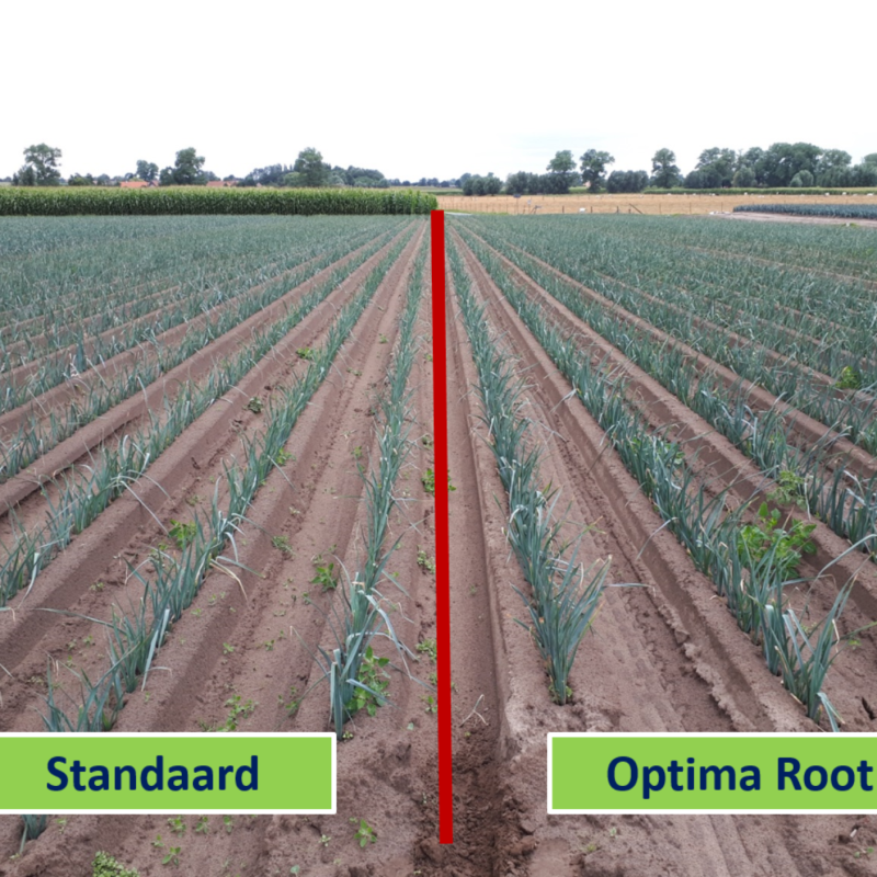 Optima  Roots2Shoots 50lbs