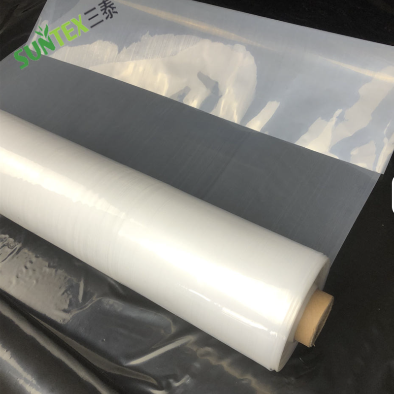 150 Clear 1 YR UV